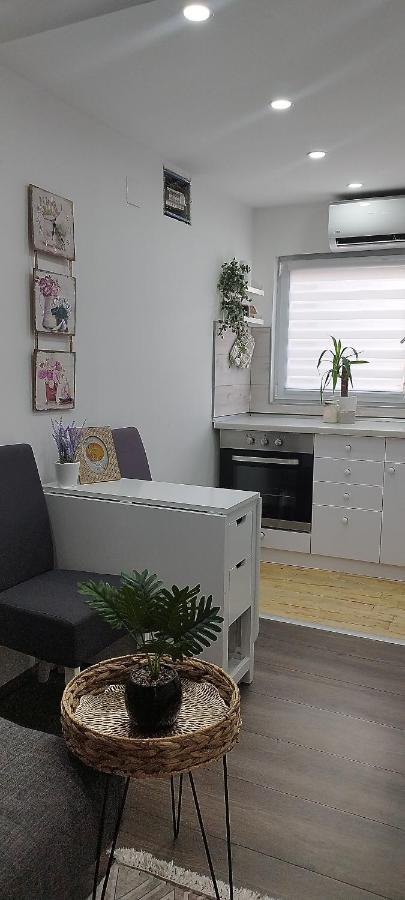Queen Apartmancic Zaječar Esterno foto