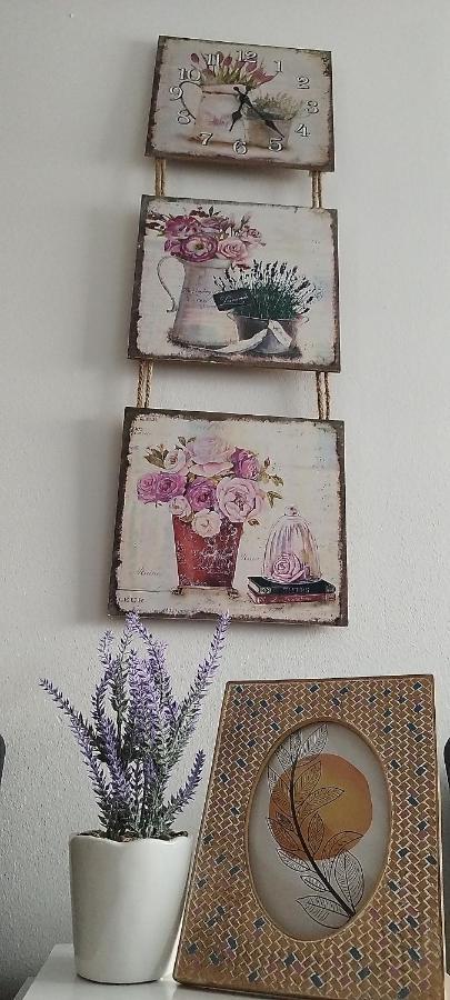 Queen Apartmancic Zaječar Esterno foto